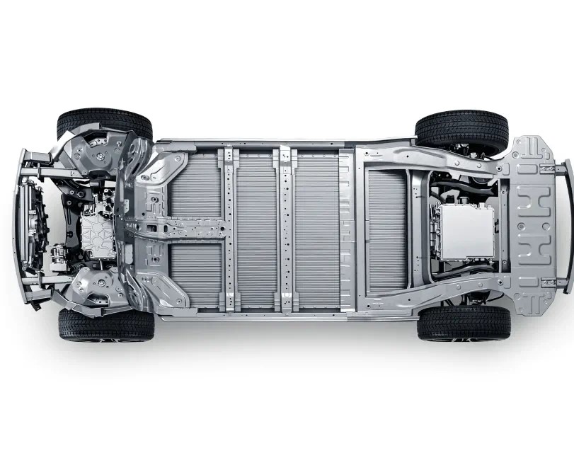 byd-dolphin-surf-safety-03-l